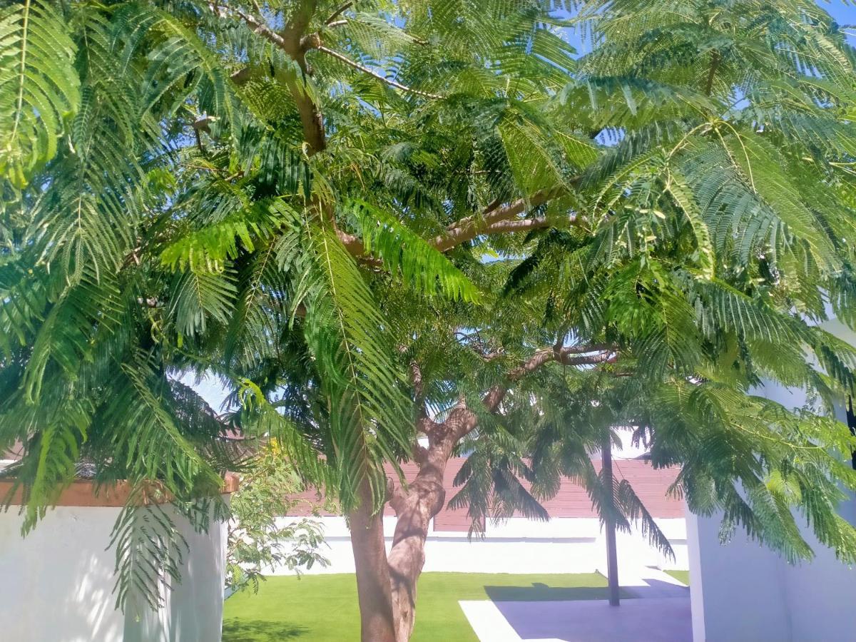 Bungalow Colorado With Garden #4 San Bartolomé Ngoại thất bức ảnh